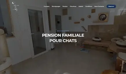 Screenshot of the Bulle ô Chats website